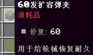 60 发弹匣.png